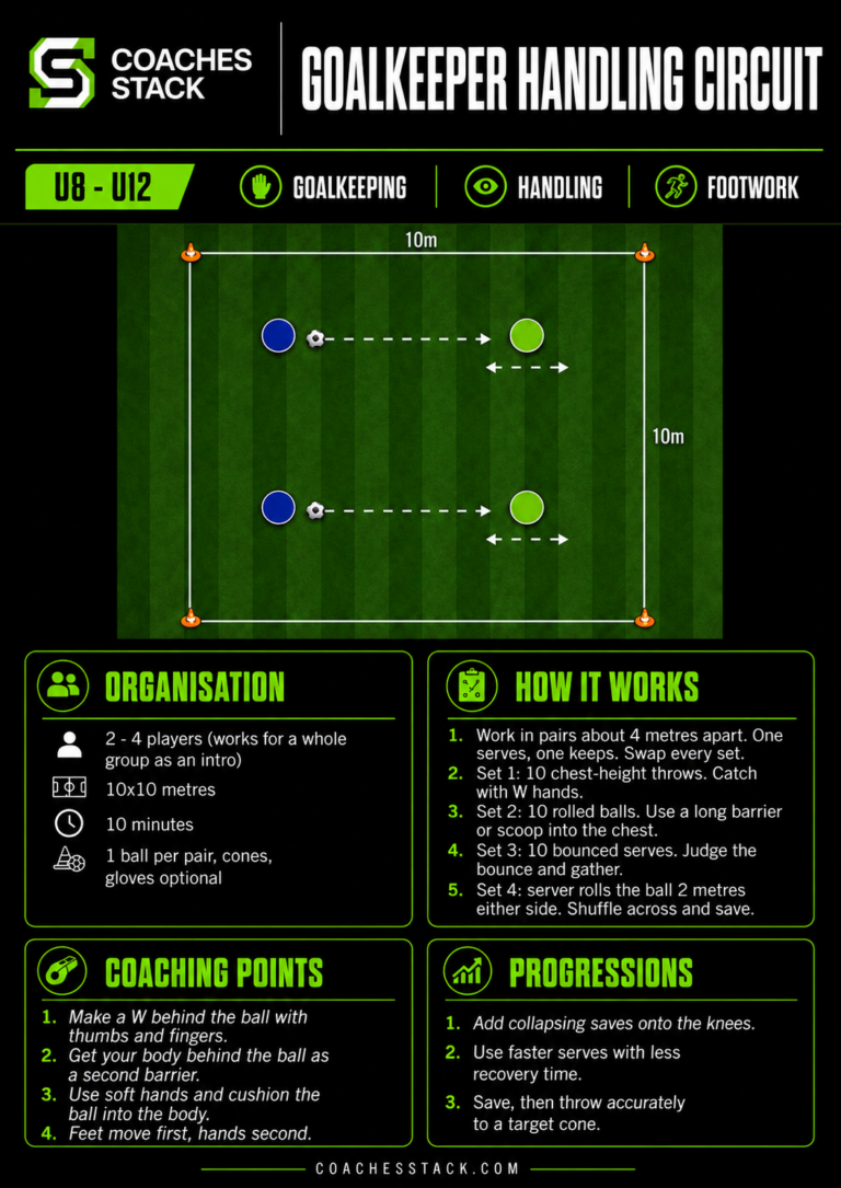 Goalkeeper Handling Circuit